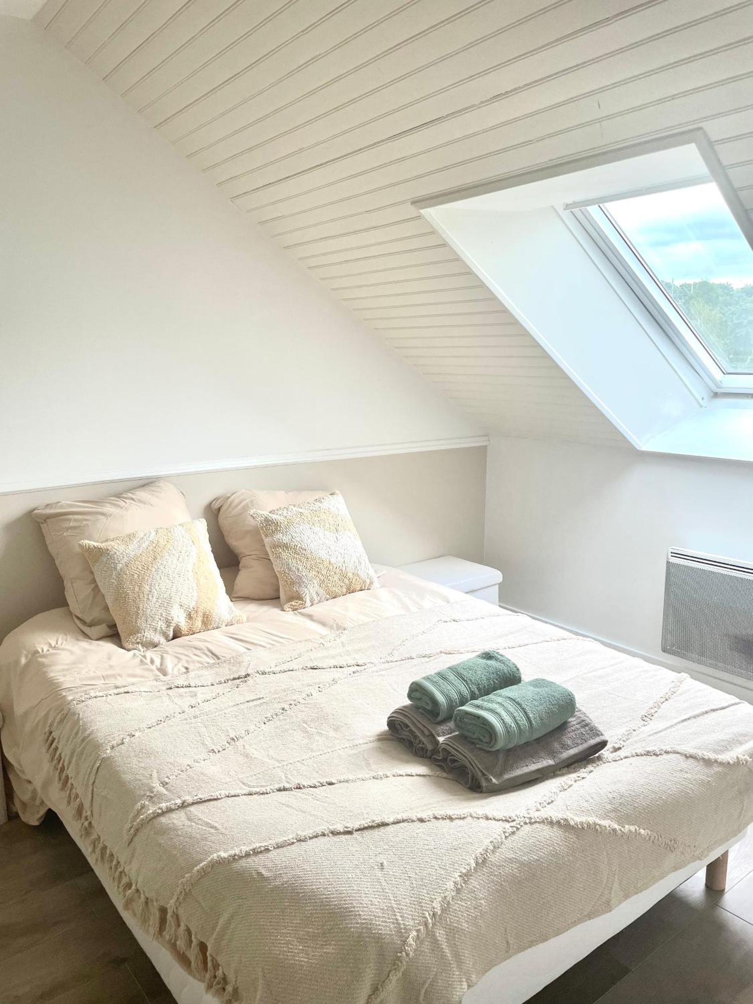 Appartement Le Magenta Centre De Laval Proche Gare