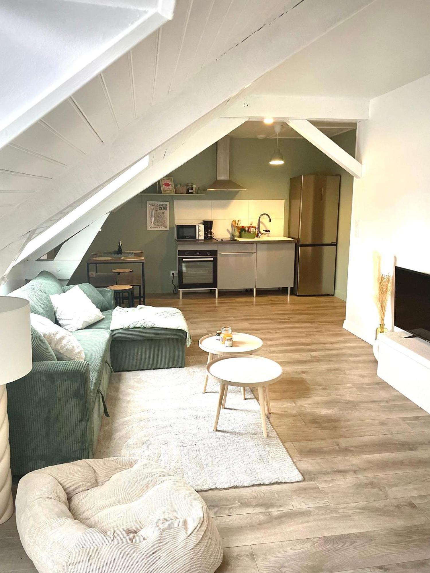 Appartement Le Magenta Centre De Laval Proche Gare